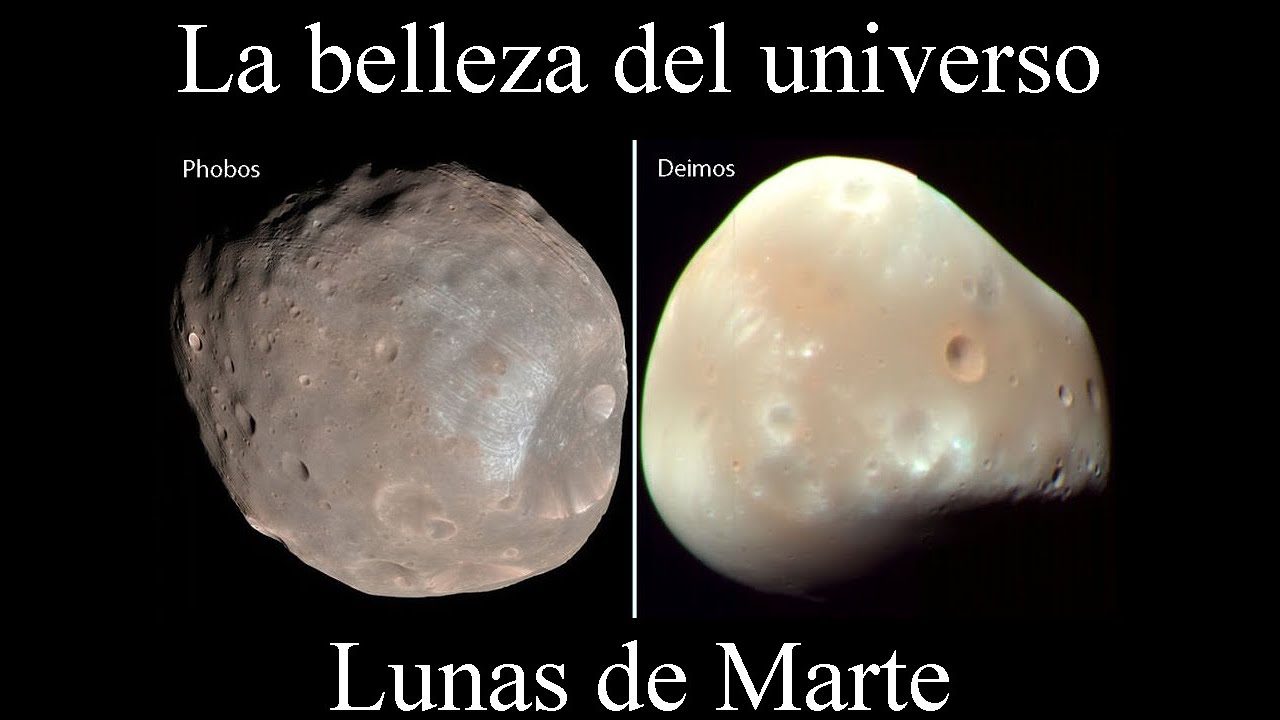 imagen galeria